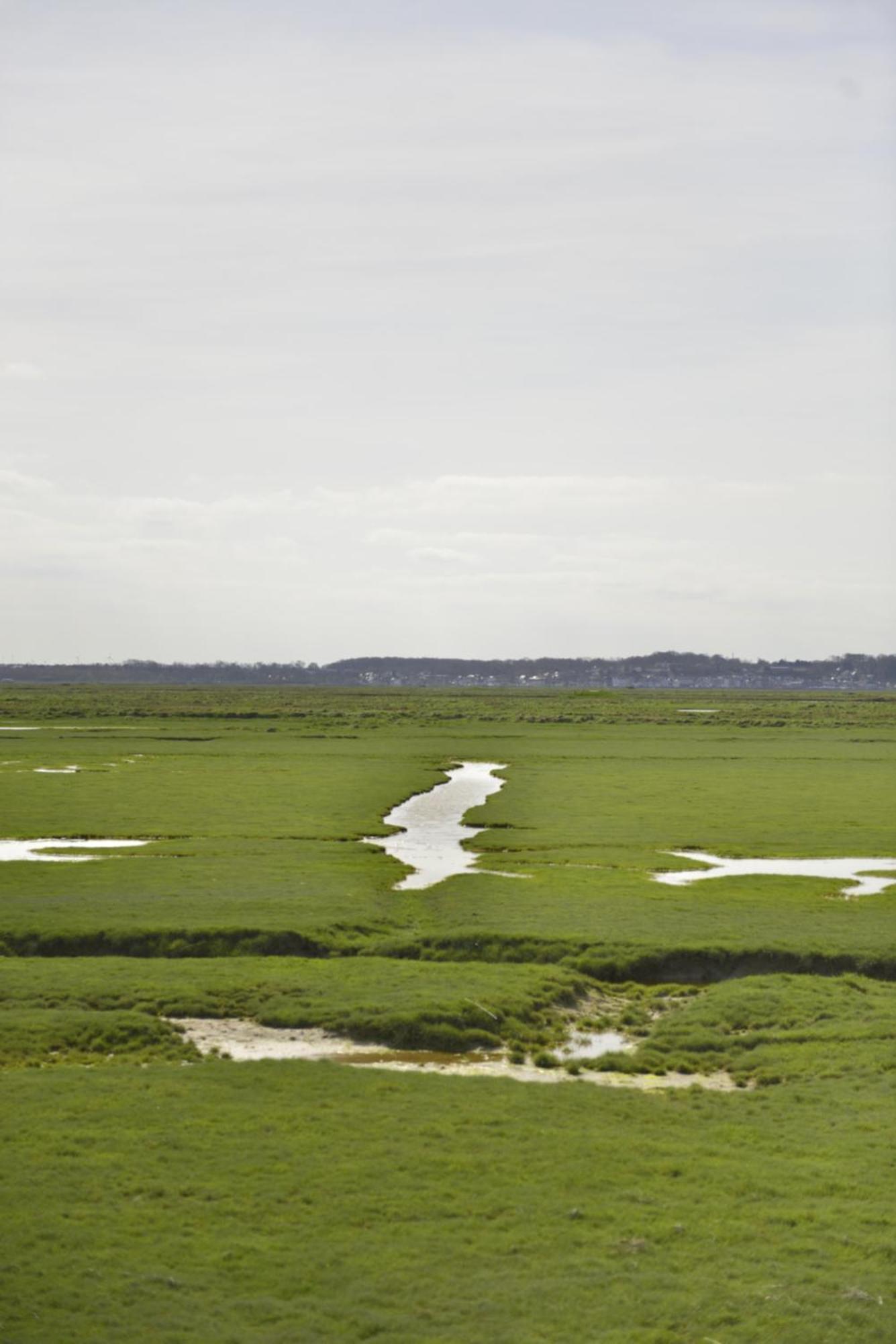 Le Cottage De La Baie - Vue Mer En Baie De Somme Woignarue Exterior foto